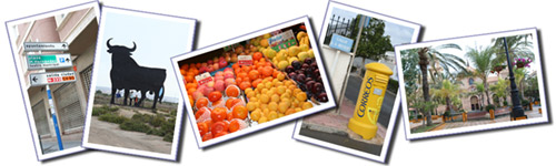 Picture Bank @  Babelzone