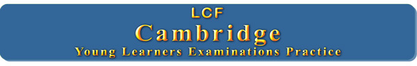 Cambridge YLE Practice