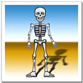 Parts of the body - Vocabulary