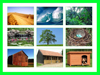 Vocabulary - Animal habitats 