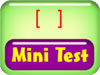 Mini Test 