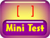 Mini Test 