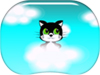 Cat fun