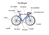 The Bicycle