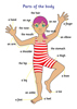 The Body