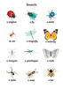 Insects